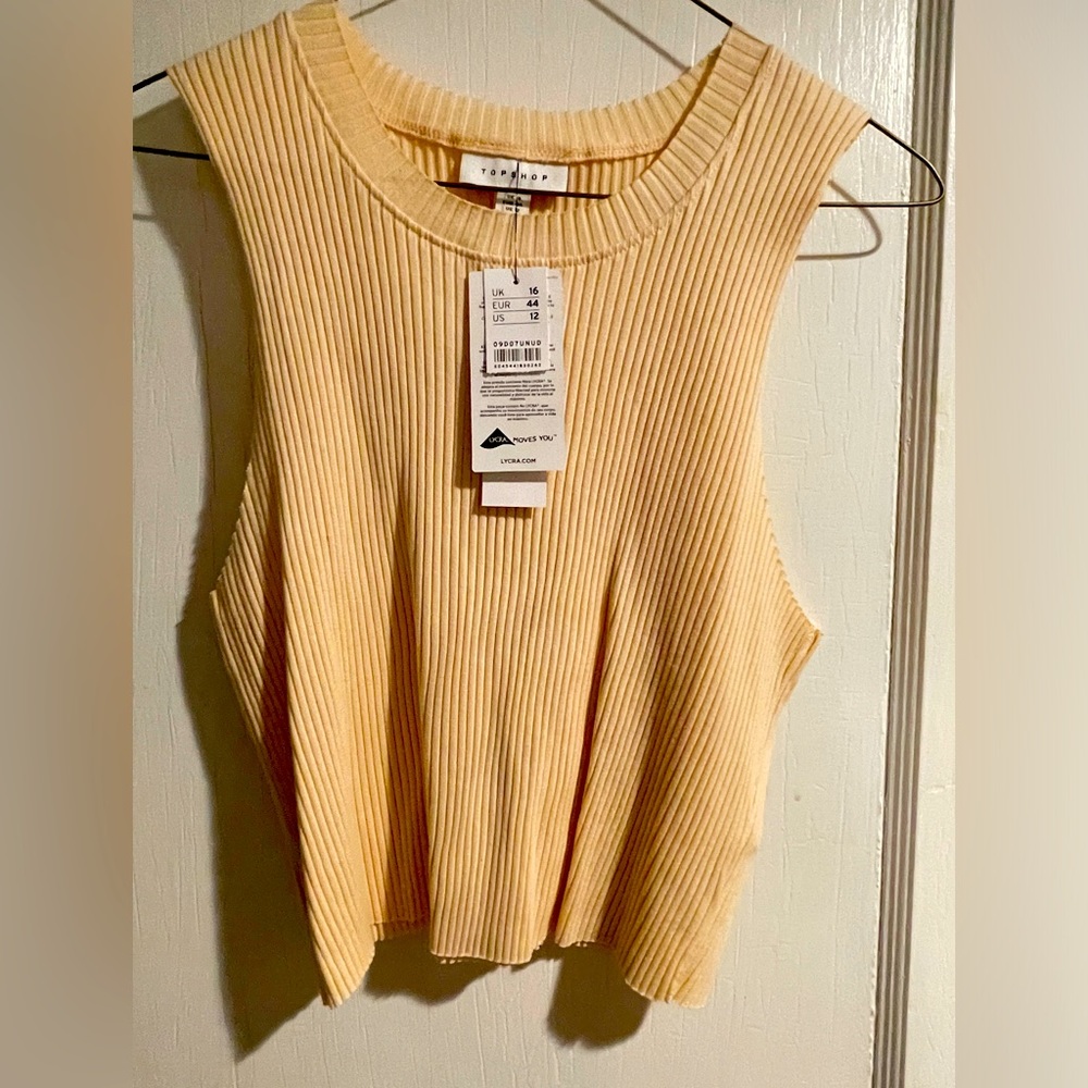 TOPSHOP crop top
